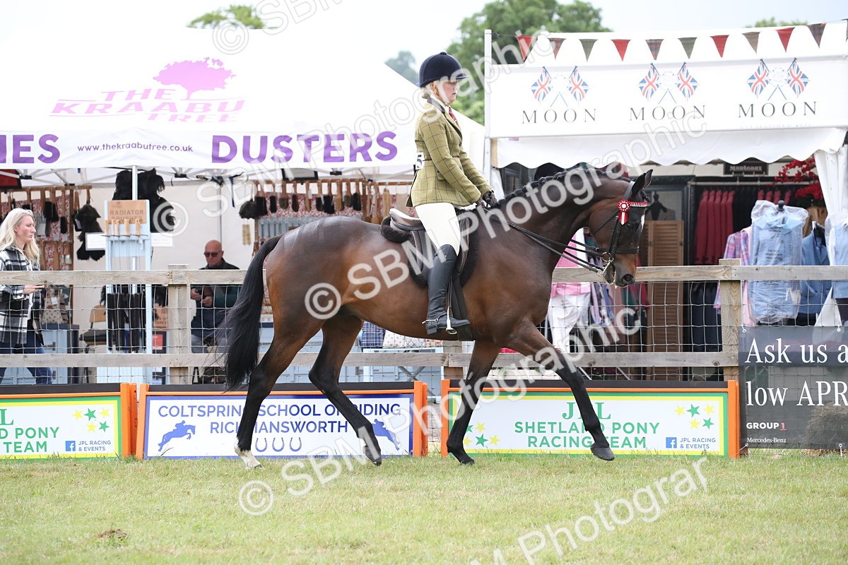 SBM_11414 - Class 94 - LIHS BSHA Racehorse to Showhorse