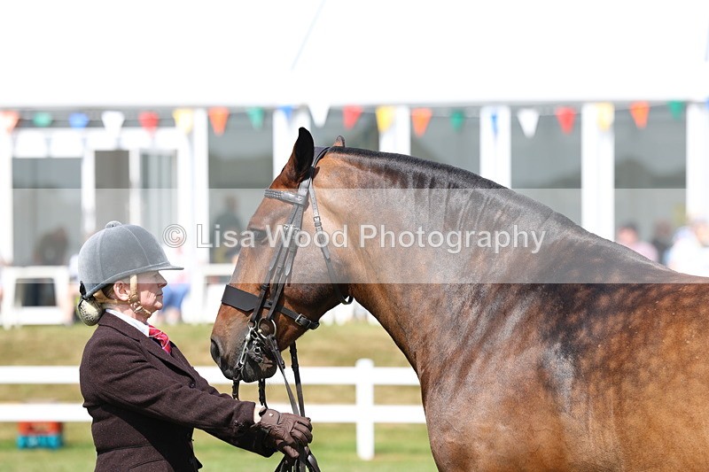 3E7A0025 - Class 5: Rising Star Lightweight/Heavyweight Cobs