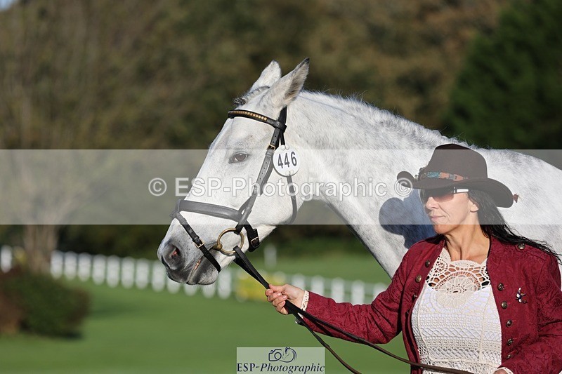 241027-090342-15002 - 446-Jacqueline.Cole-MIDNIGHT.MOON.DANCER