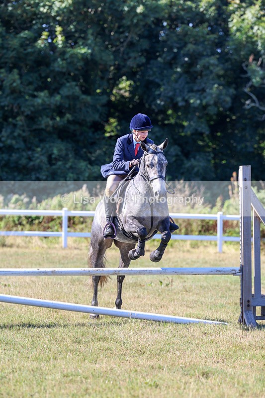 3E7A5451 - Class 3: Working Hunter 70cm