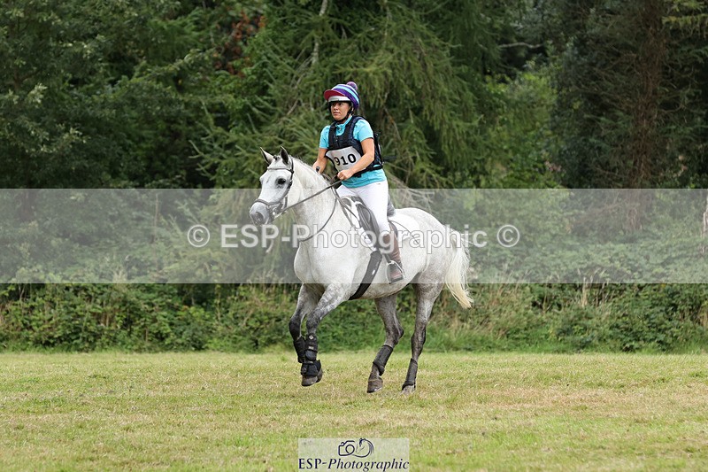 240825X-124346-33621 - 70cm XC 12.00 to End