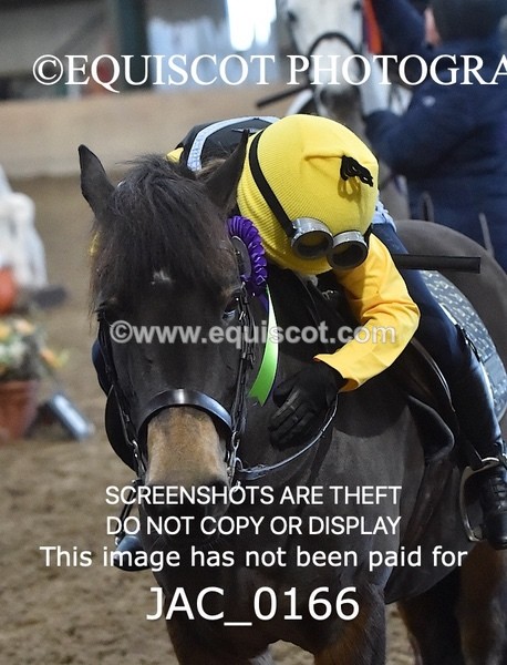 JAC_0166 - CLASS 5 Progressive Show Jumping - (0.60m)