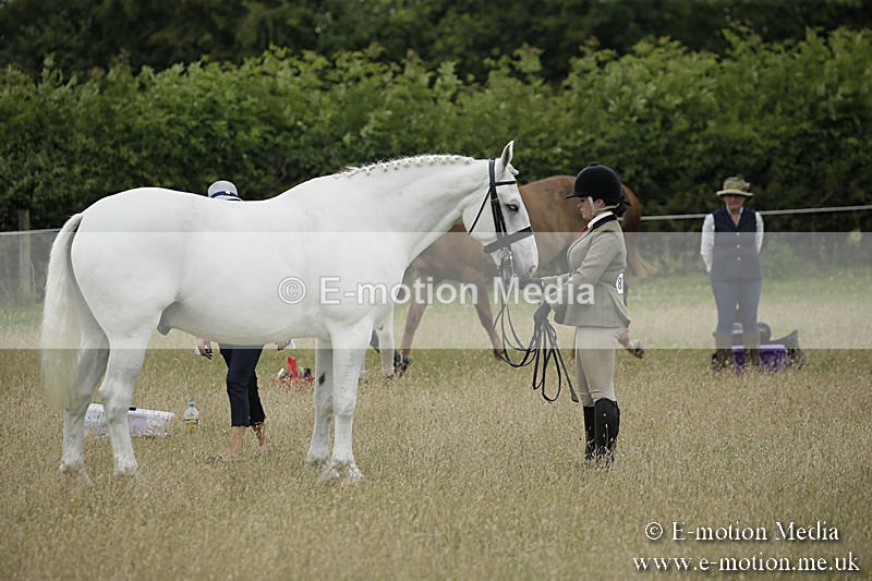 B230619-0772 - Bourne Valley Riding Club Summer Show 23/06/19