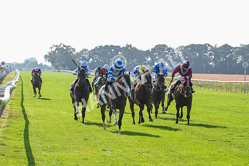 300824-Race 6-Havana Sky-6367 - Race 6