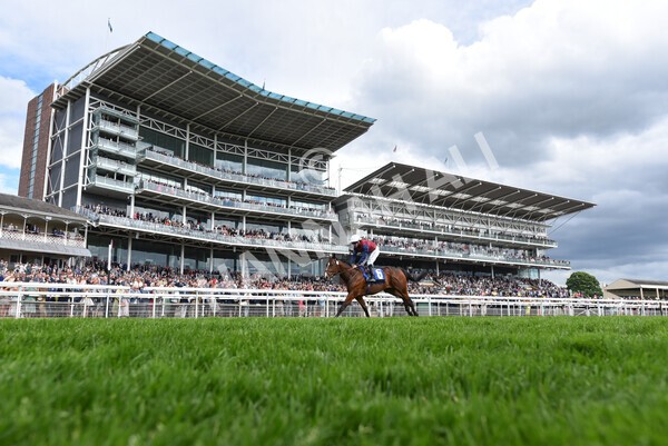 yr21052022r5-29 - Race 5: 4:07pm Phoebe Johnson Celebration EBF Restricted Novice Stakes