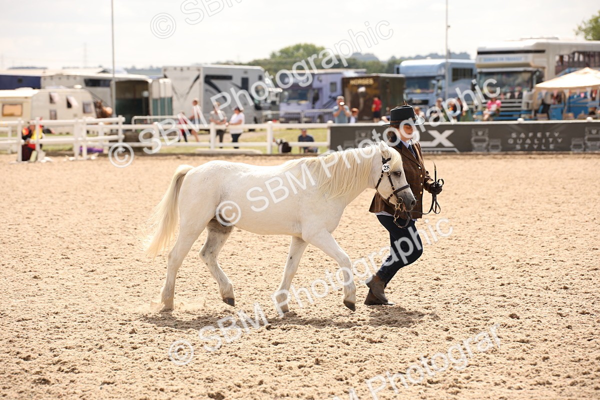 SBM_04645 - Class 20 IH Veteran