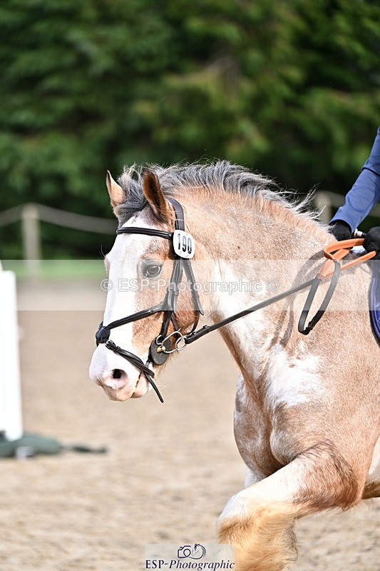 260222A-133157-00982 - 70cm All sections