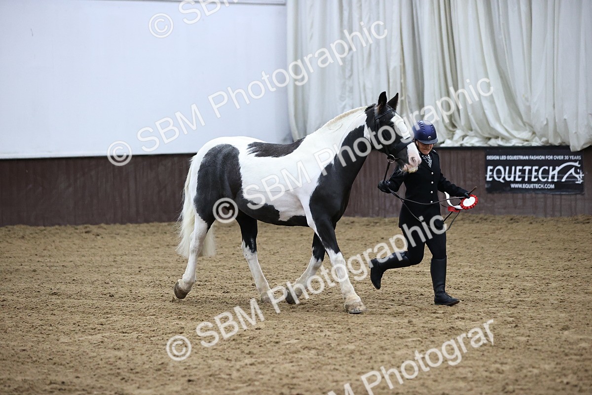 SBM_5332 - Class 32 - In Hand Cob Type