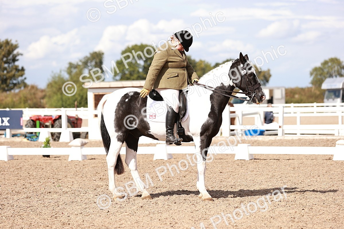 SBM_06589 - Class 39 - Medium 3