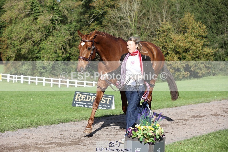 241027-103636-15992 - 591-Zennor.Harvey-GOODFELLA.GIO