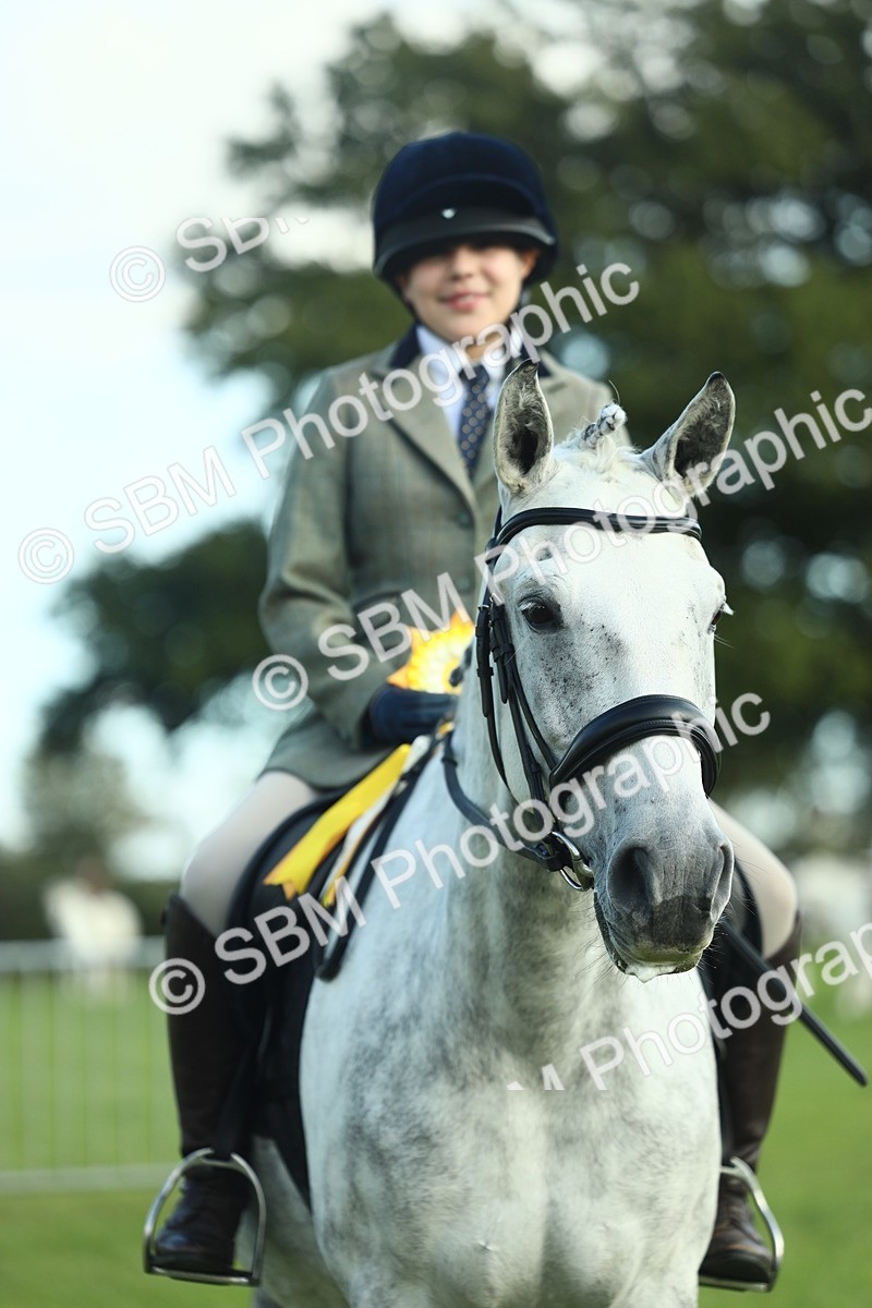 SBM_49947 - S32 - Novice & Newcomers Working Hunter
