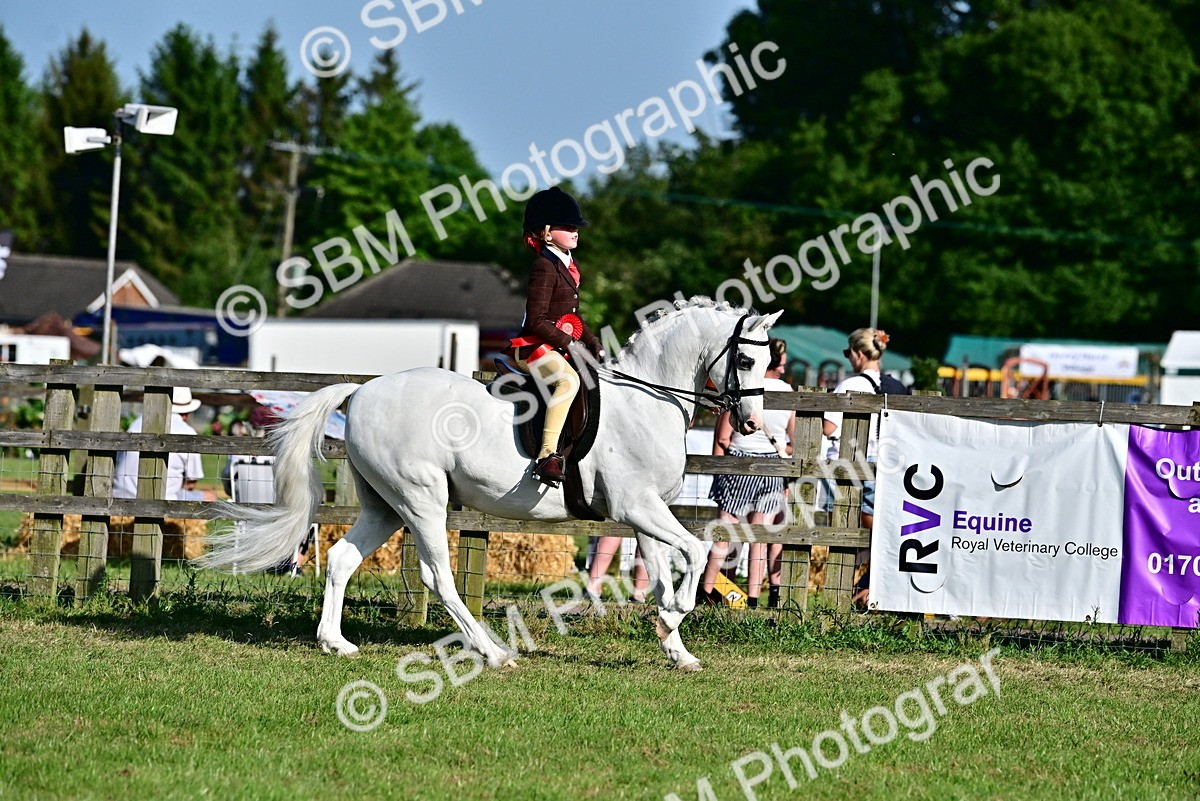 SBM_19901 - Class 103 - 105 - TSR Ridden Amateur of the Year Plaited Ponies