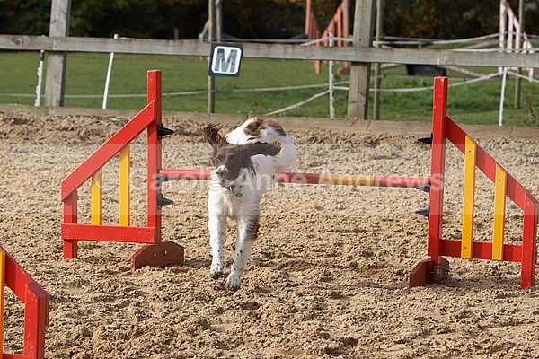  - Greenstead Green Farm Shop Animal Open Day