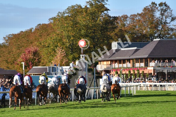 yr08102022r6-20 - Race 6 4.25pm The Watch Racing Online Free With Coral Handicap Stakes