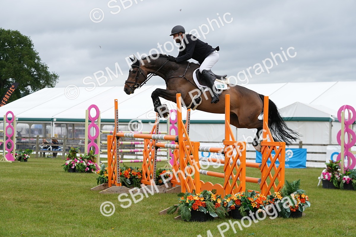 SBM_03408 - Class 201 - British Horse Feeds Speedi Beet Horse of the Year Show Grade  C