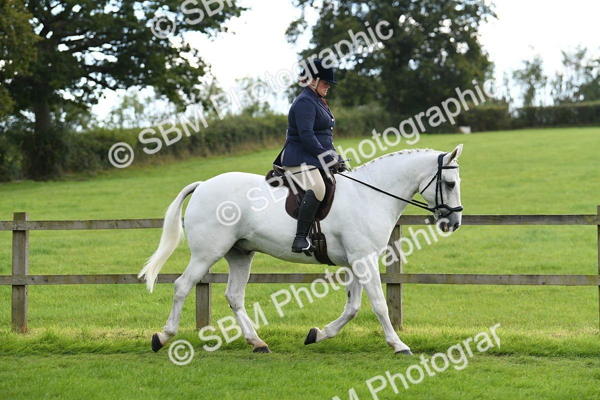 SBM_46719 - S12 - Family Horse & Pony