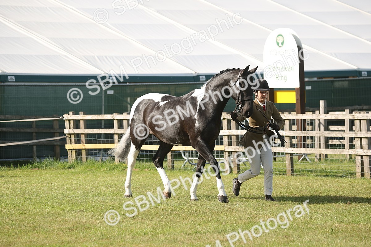 SBM_10422 - Class 33-38 - SSADL RIHS Qualifiers