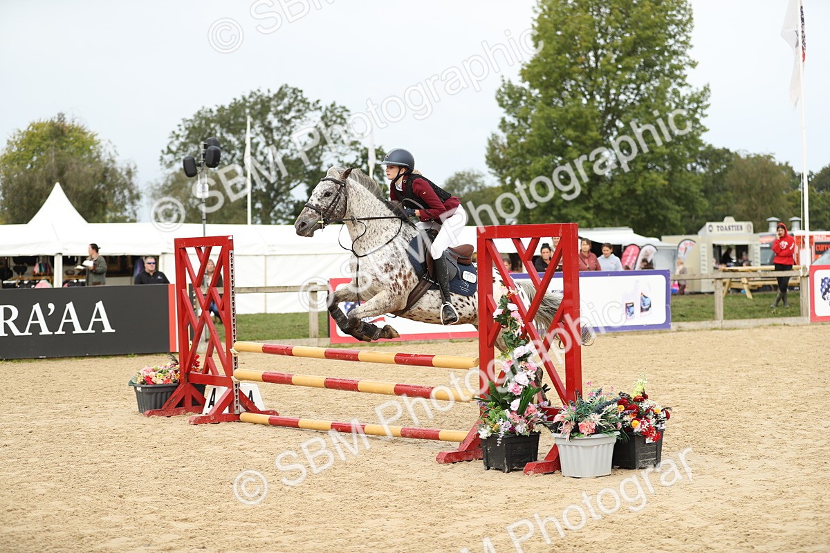 SBM_58556 - J25 - Junior Horse 80cm Championship