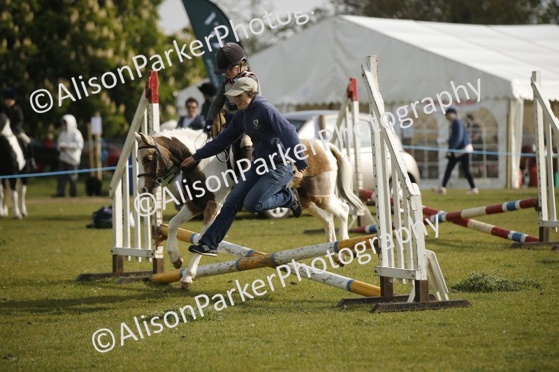 20260426-0971 - Class 1 - Mini Jumping - Lead rein or Assisted