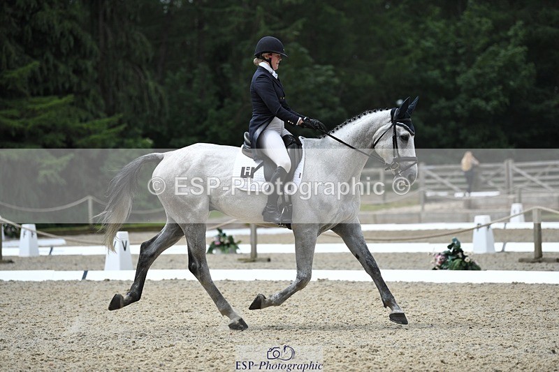230525-113813-01870 - 102-BANDITO_VAN_POLDERZICHT-Grace_Taylor-WEDTrotUp+DR