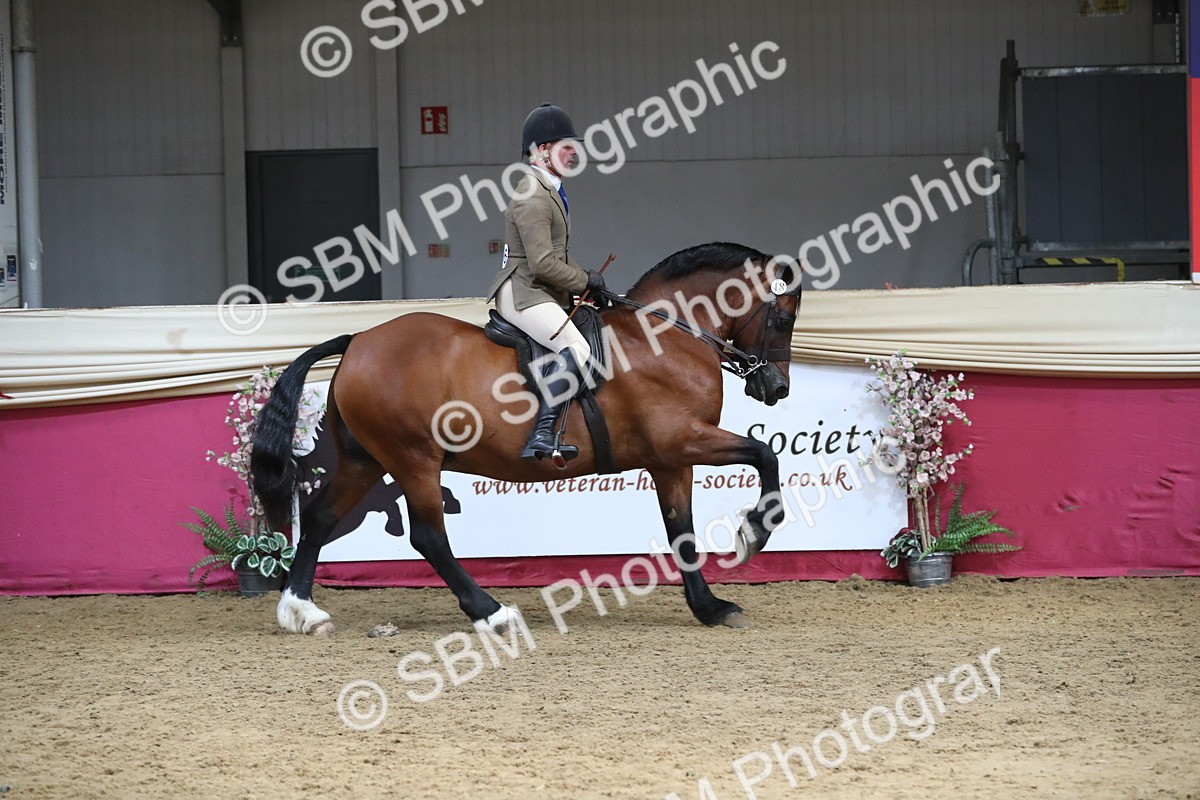 SBM_16333 - Class 502 M&M Ridden Supreme Final