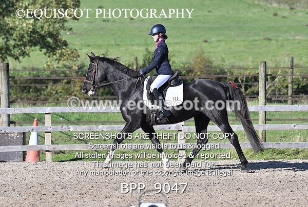 BPP_9047 - SHORT ARENA INTRO 3