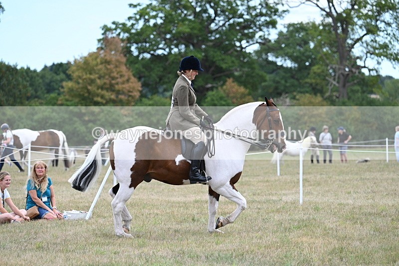 WJ7_4916 - Class 12 Ridden Cob