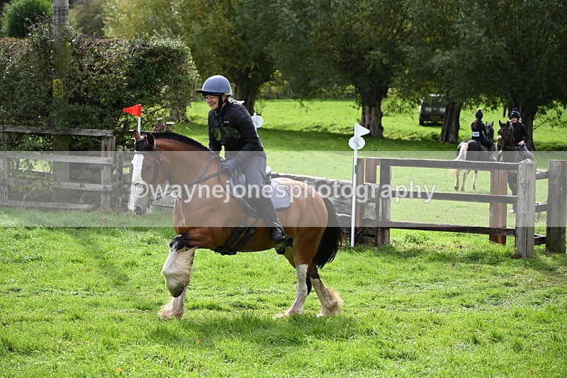 WJ6_3856 - Time 12:38 to 13:20