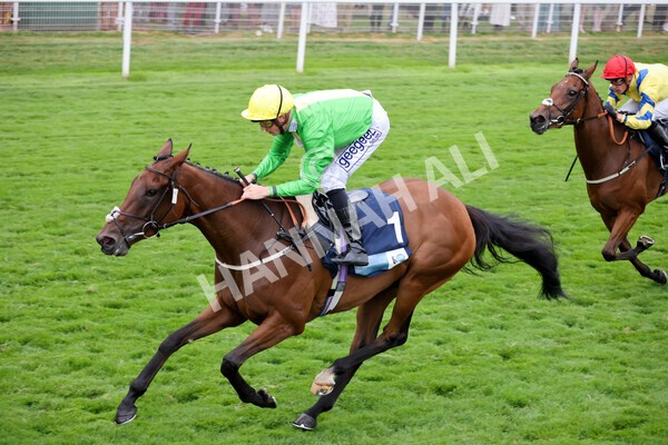 yr22072022r5-23 - Race 5 7.20pm British Stallion Studs EBF Lyric Fillies' Stakes