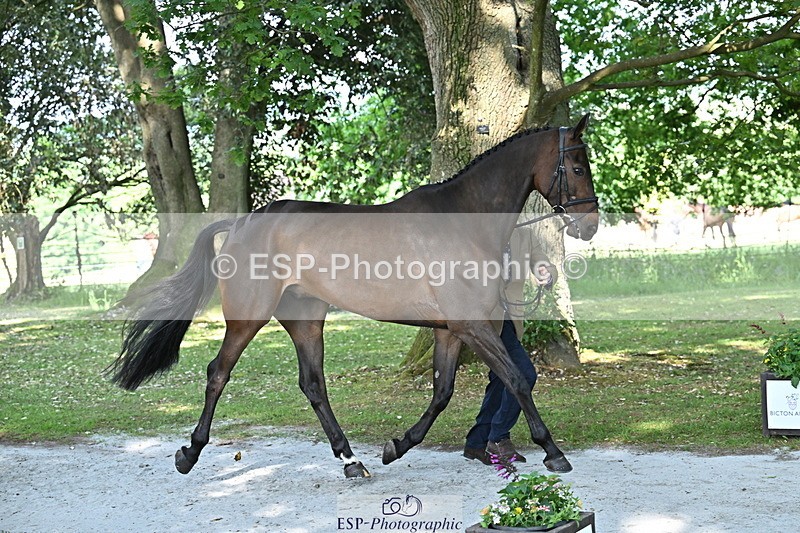 250521A-162710-01153 - C-223-Tom.McEwen-BROOKFIELD.DANNY.DE.MUZE