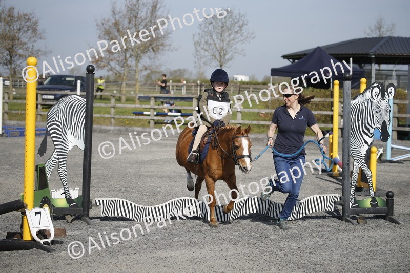 20250412-0174 - Show Jumping