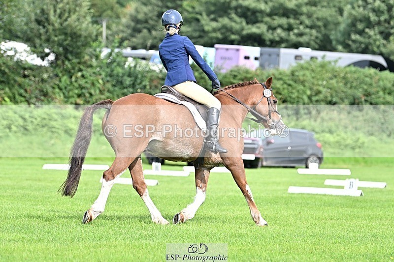 230826-100544-16367 - Sections A & B 10 to End