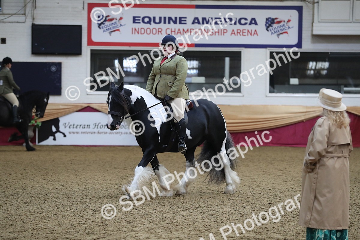 SBM_10407 - Class 102 Equitation (best rider) Adult