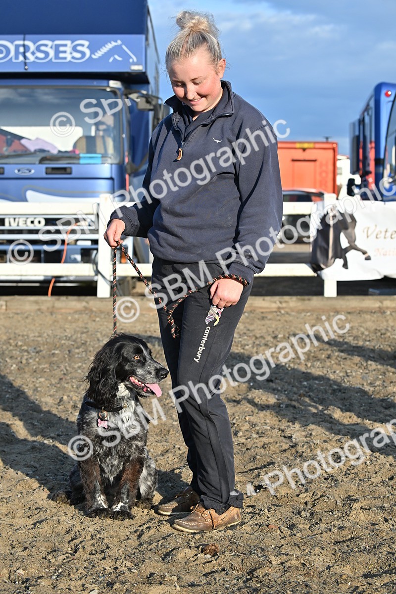 SBM_09444 - Lorry Dogs