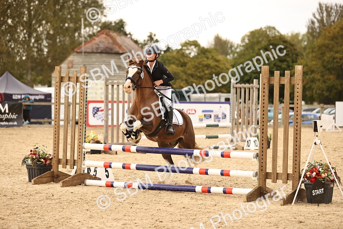 SBM_74311 - J14 - Junior Pony 65cm Championship