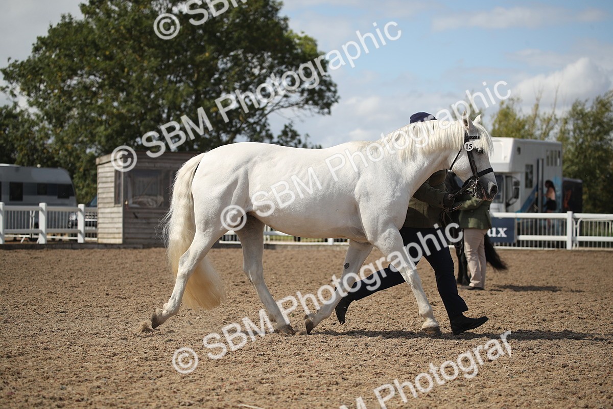 SBM_23098 - Class 606 - 2026 - Area - IH Pre Vet