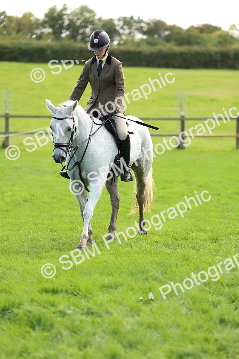 SBM_45529 - S33 - Working Hunter Pony