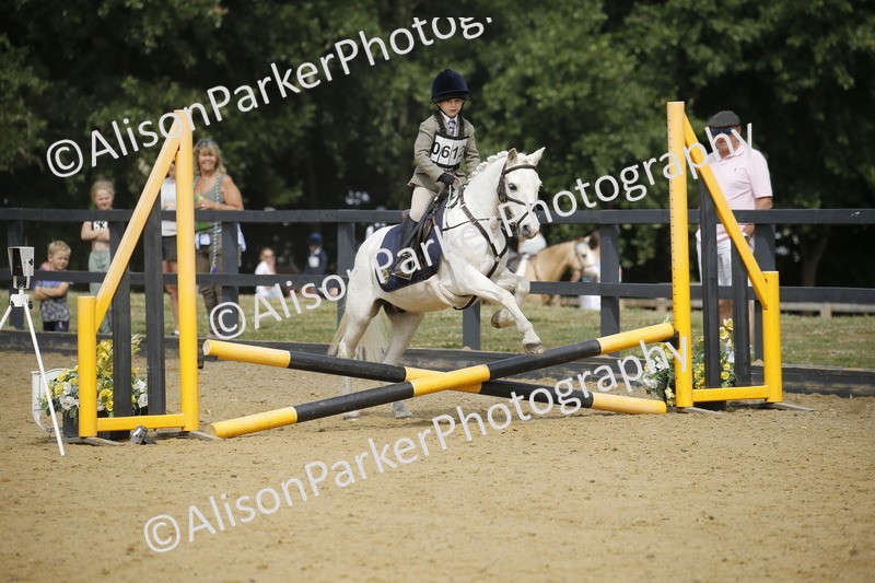 20250622-3737 - 50cm