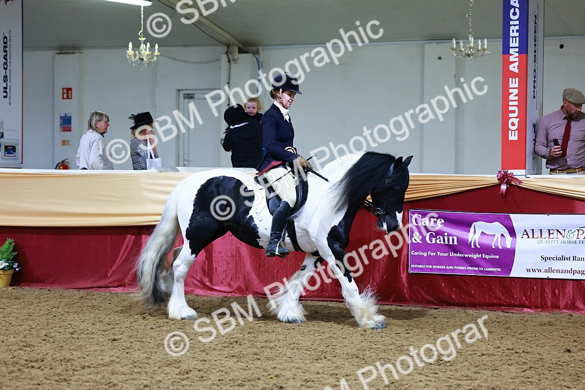 SBM_23616 - class 906 - Supreme Final - Ridden Pre Vet