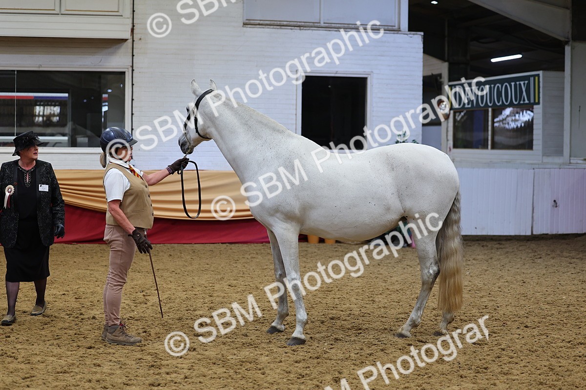 SBM_22701 - Class 903 - Supreme Final - IH Pre Vet