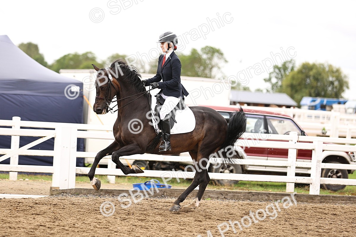 SBM_01363 - Class 54 - Riding Club Horse Pony