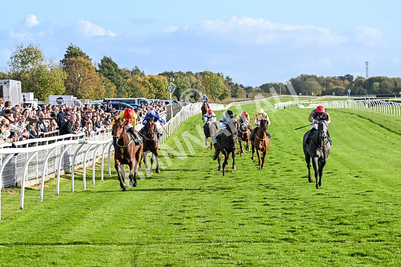 191024-Race 5-Vince Le Prince-4468 - Race 5