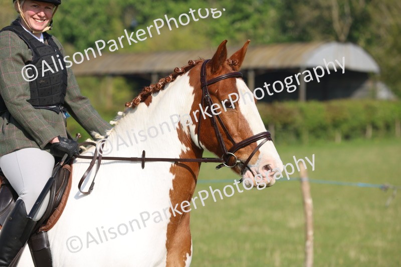 20250427-0492 - Class 17 - Novice Showing