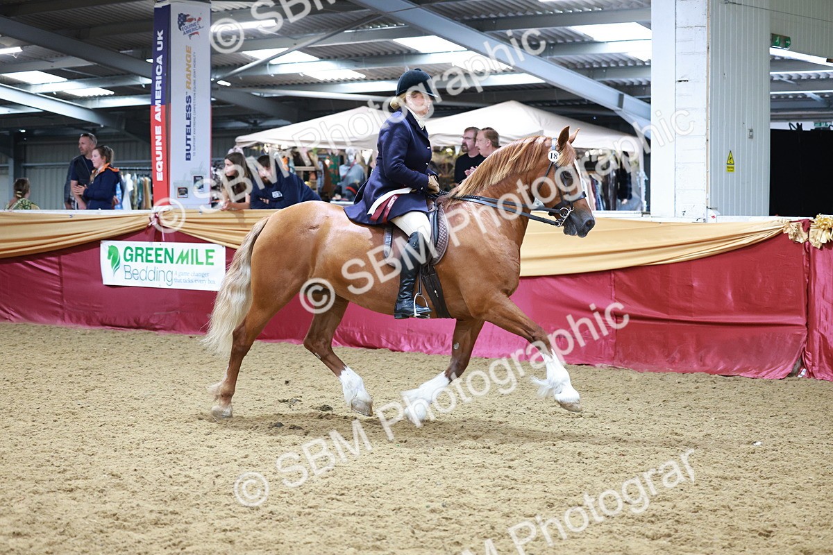 SBM_18923 - Class 952 - M&M Ridden Supreme Final