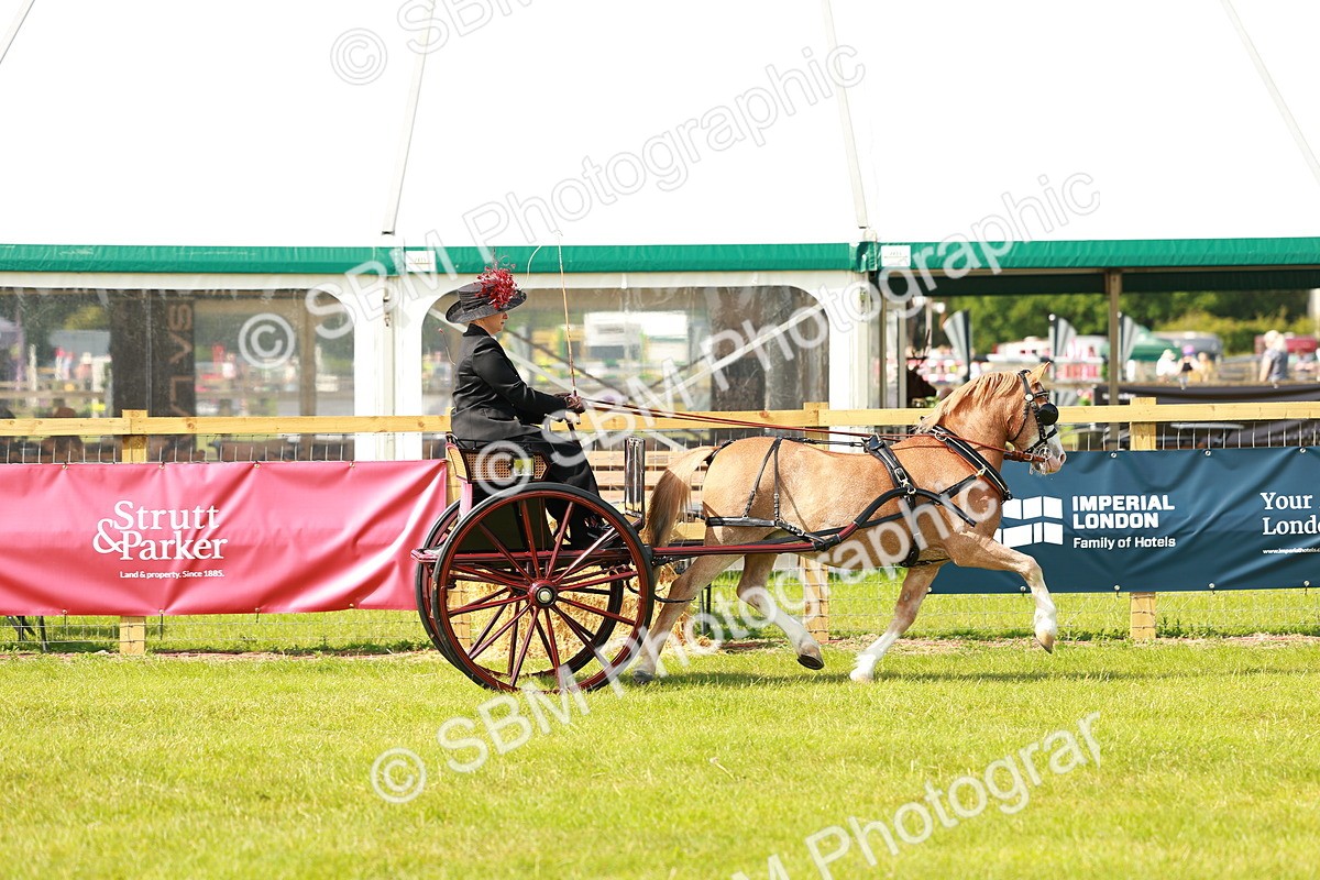 SBM_02574 - Class 2-4 - HOYS Private Driving