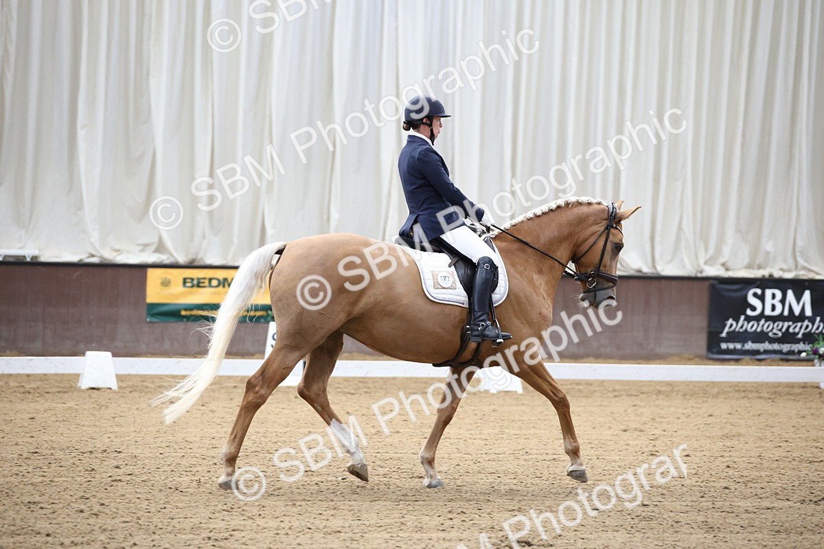 SBM_002065 - Class 5 - Novice 6 Gold - 9.00-10.10