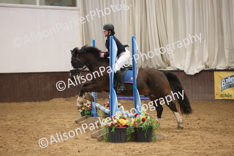 20260314-0470 - 60cm