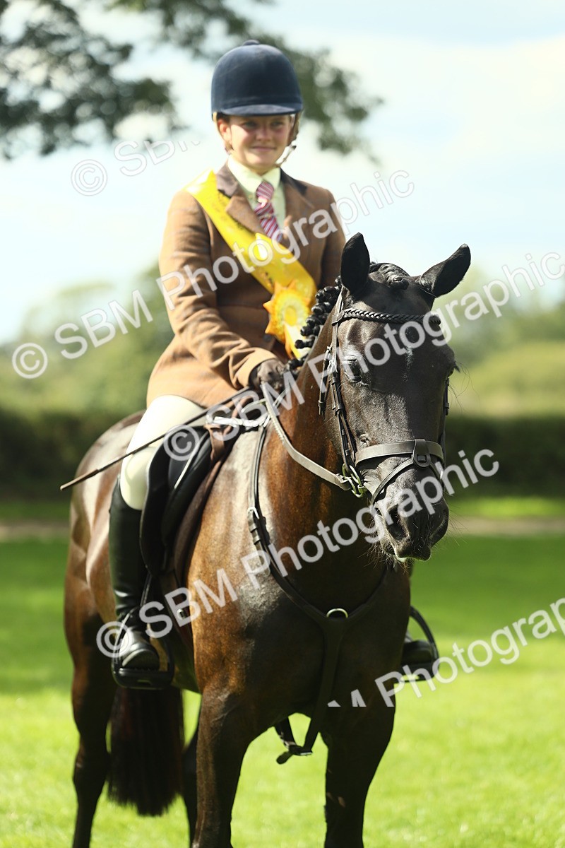 SBM_44974 - Working Hunter Pony Supreme Championship