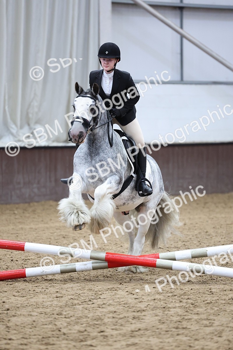 SBM_006910 - Class 1 - 40cm showjumping
