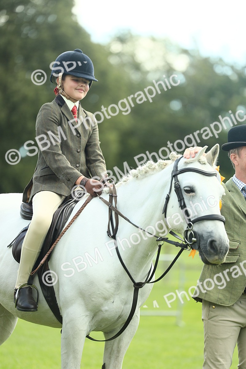 SBM_42239 - S29 - Novice & Newcomers Working Hunter Pony